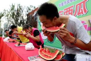 每日大赛吃瓜网,揭秘赛场背后的精彩瞬间